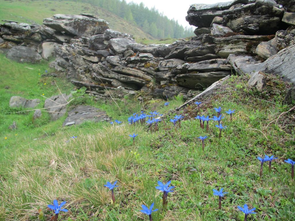 Landhaus Gassner บรุค อันแดร์ โกรสส์กลอคเนอร์ชตราสเซอ ภายนอก รูปภาพ